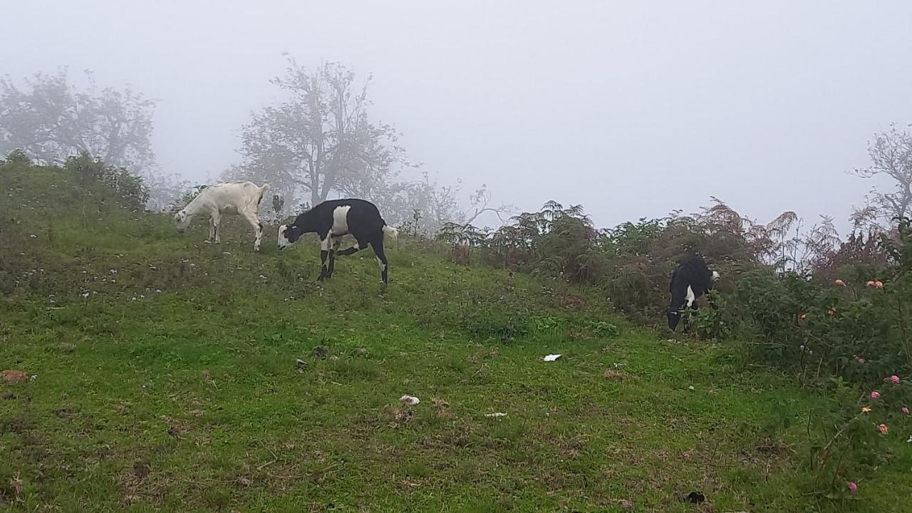 Salora Kodai Kodaikanal Eksteriør billede