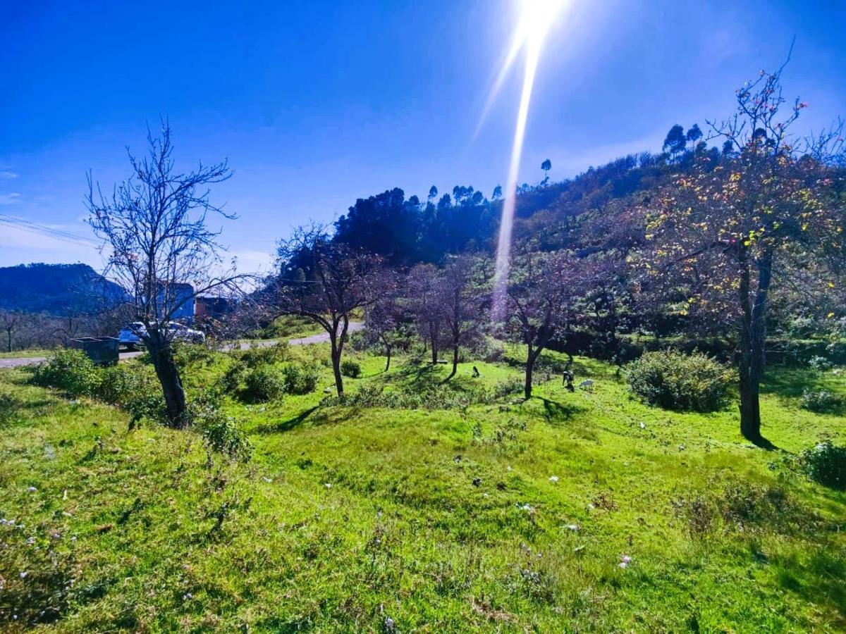 Salora Kodai Kodaikanal Eksteriør billede